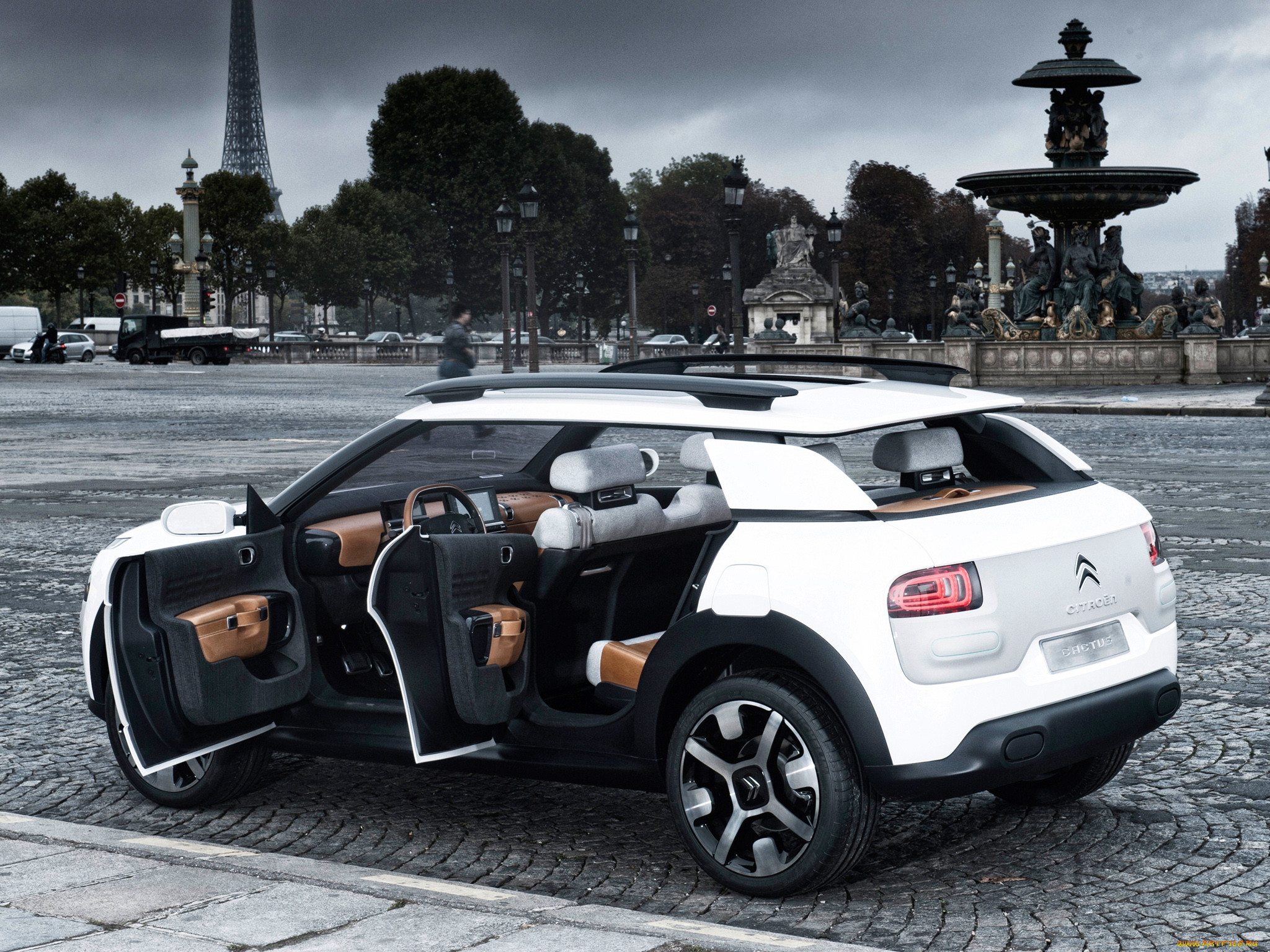 , citroen, cactus